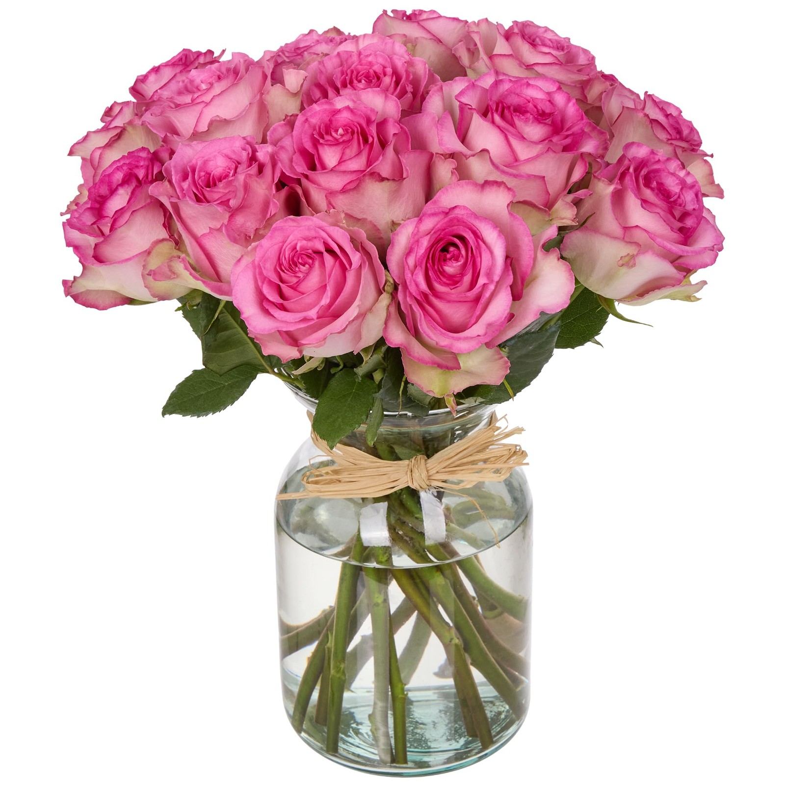 18 Pink Roses Bouquet – Fresh Cut Flowers-Lasting Roses for Gifts, Birthdays & A