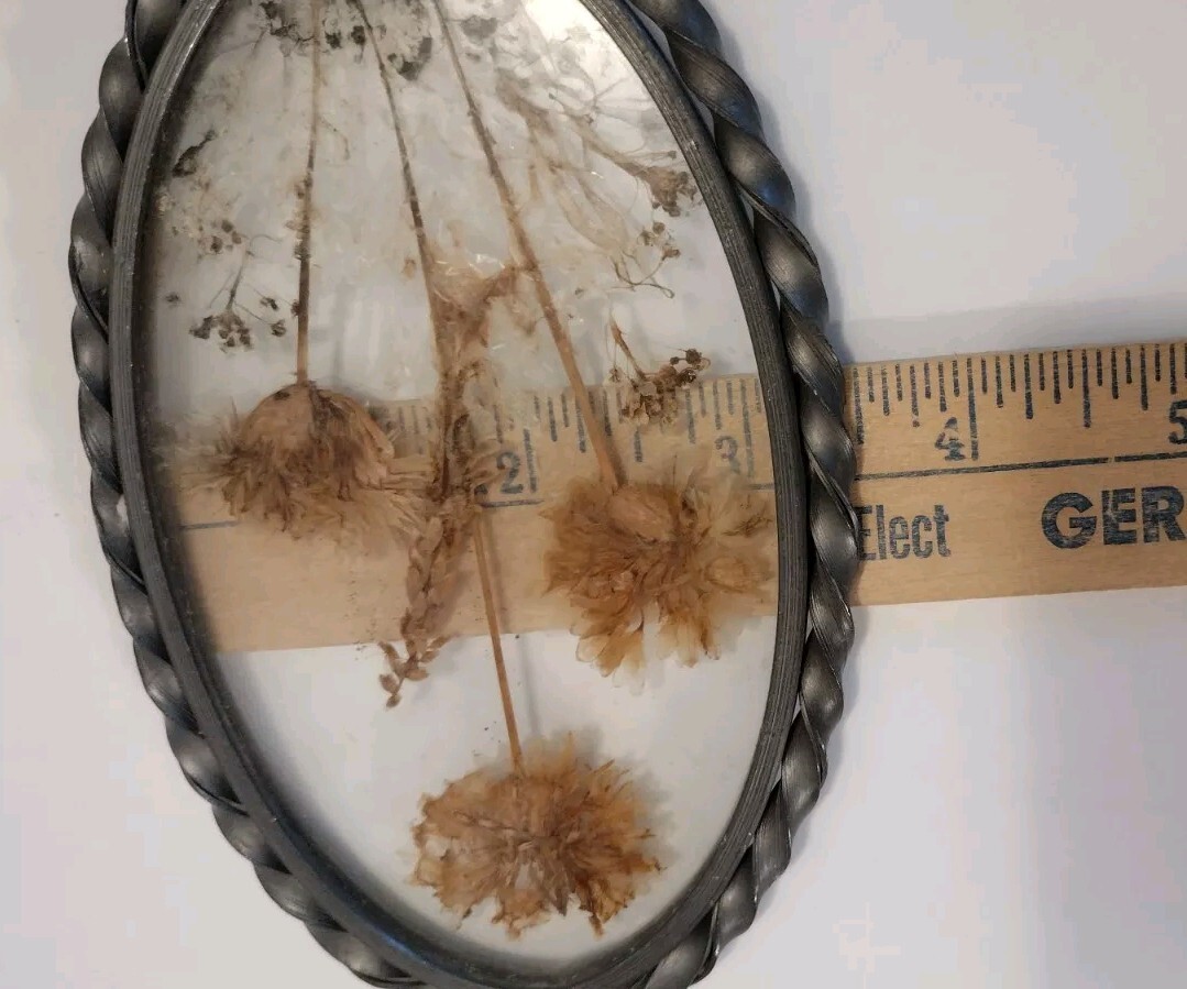 Vintage Lasting Impressions Real Dried Pressed Flowers In Glass W/ Metal Frame