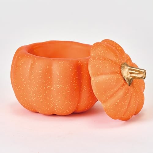 Tokyodo Pumpkin with Lid Orange Φ10 x H10cm HW002400-028from JP