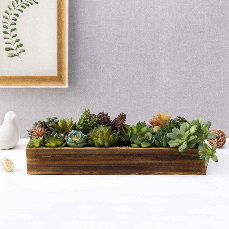 Artificial Succulent Arrangement Plants in 15.75 Inch Rustic Burnt Wood Box