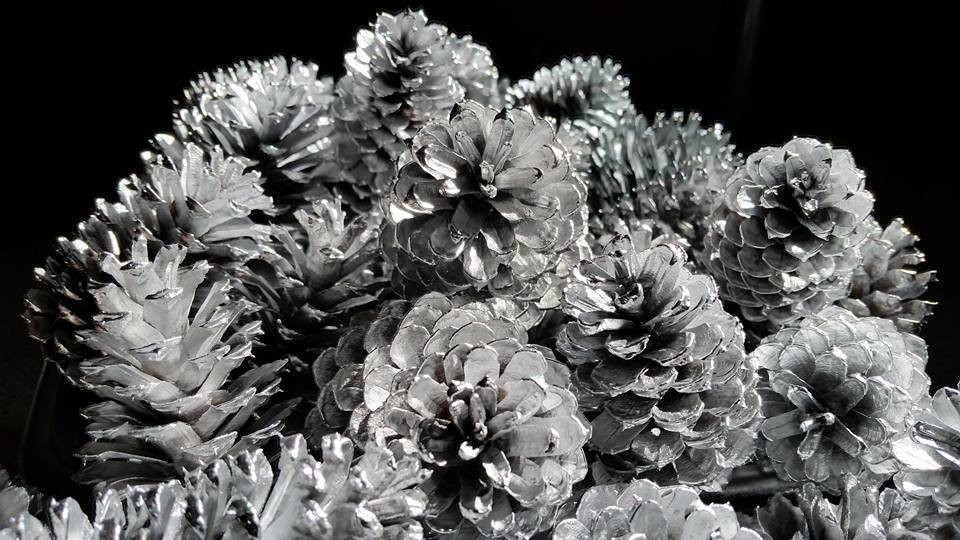 Silver painted pine cones 2.5″-3″ tall one dozen, silver pine cones