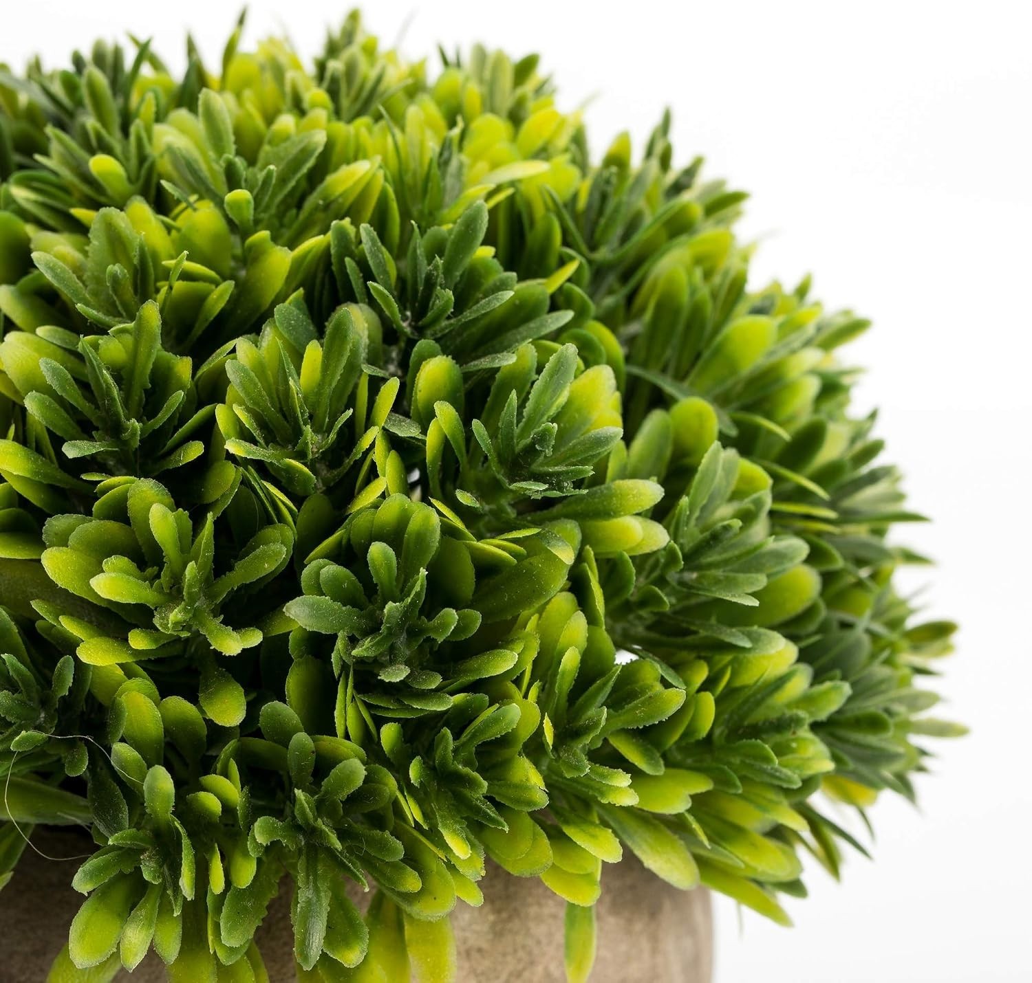 Cute 4.7” Faux Boxwood Plant – Ideal Gift for Housewarming & Special Occasions