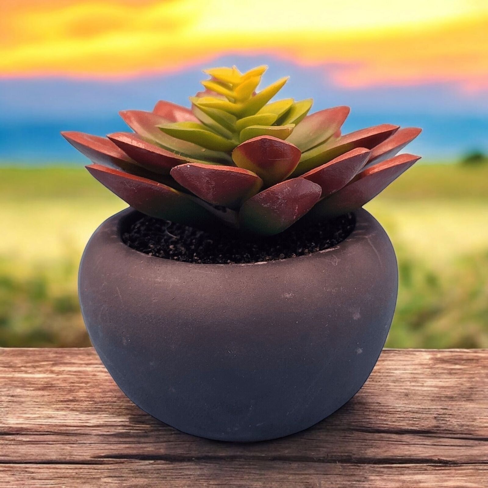 Faux Succulent Plant In Matte Black Round Pot Home Decor House Plant Office