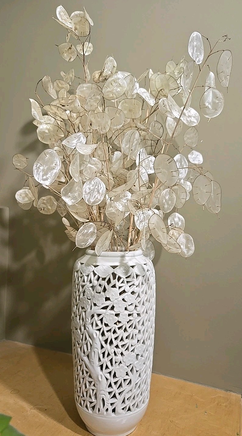 Dried Lunaria Moonwort Honesty Silver Dollar Plant Stems & seeds, 12-14″ Stems.