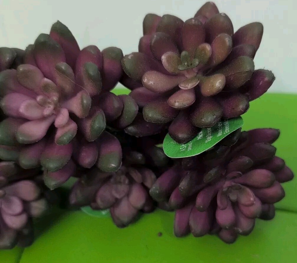 Artificial Mauve Succulents Echeveria (7) Picks Spring