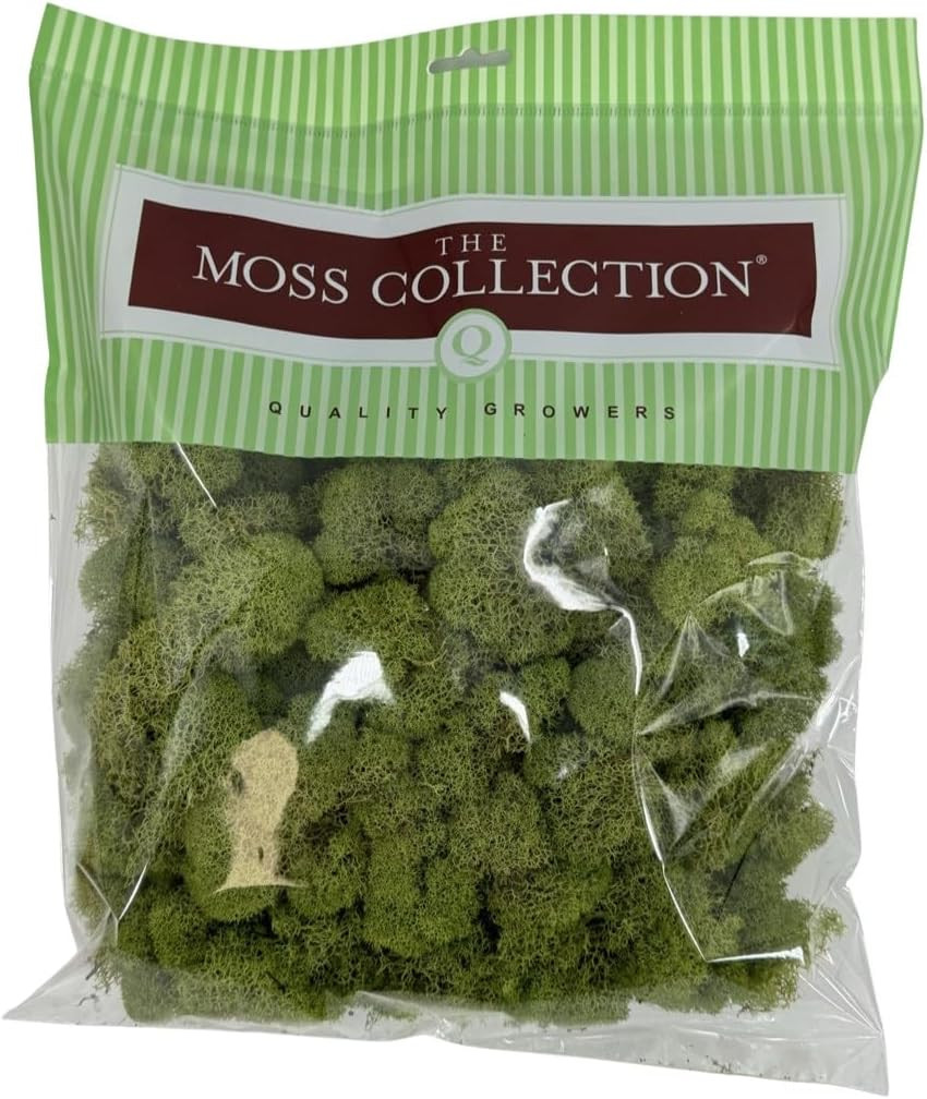 Preserved Reindeer Moss – Moss for Crafts, Home Decor, Art, Design & DIY Project