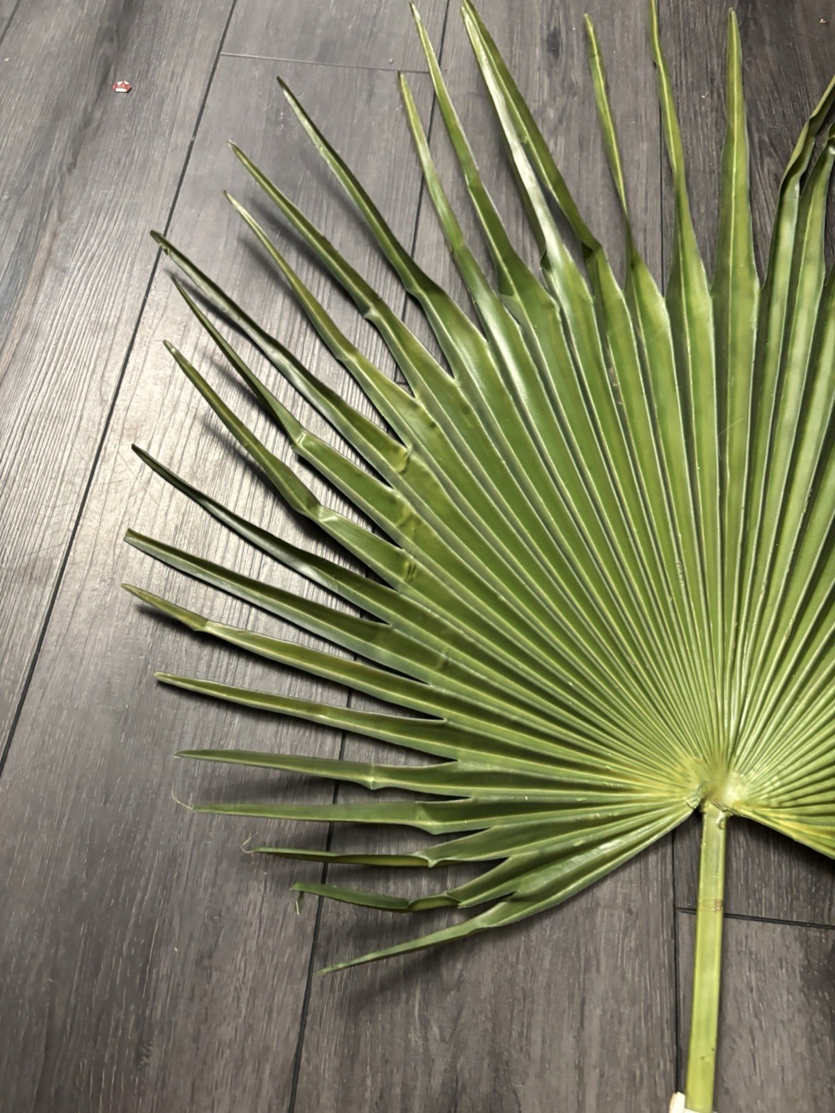 Large Fan Palm Leaf Stem 58” Tropical Boho Coastal Wedding Home Decor Prop