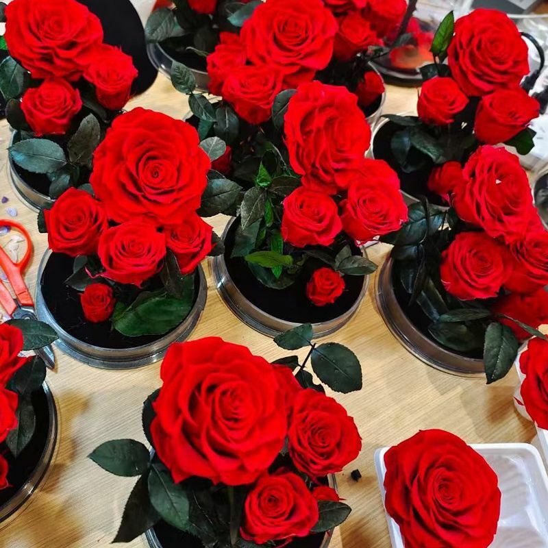 Eternal Flowers Rose Valentine Christmas Wedding Birthday Gifts For Girlfriend