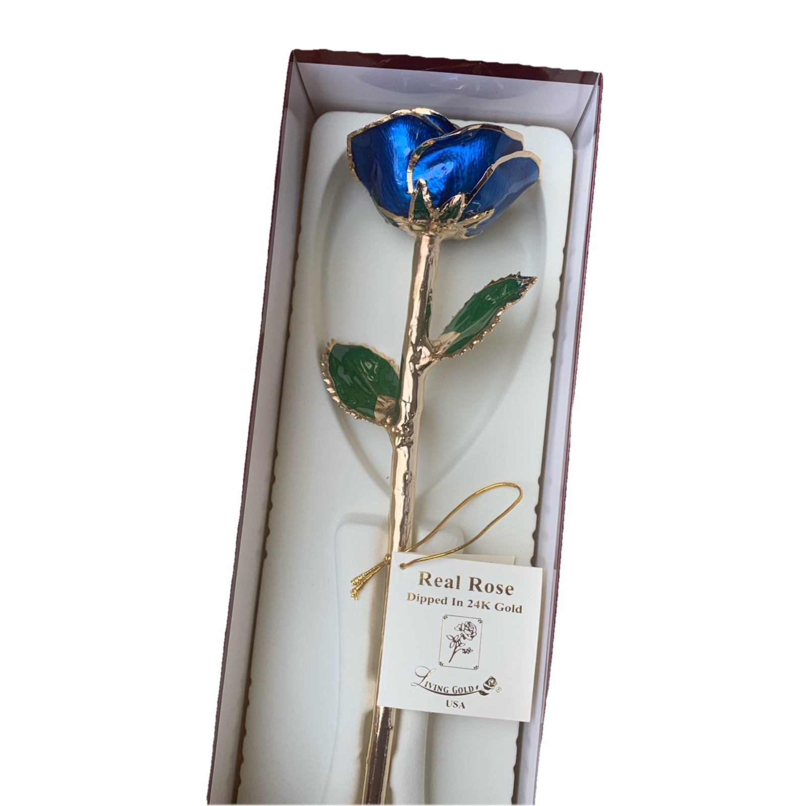 Living Gold Real Rose Dipped in 24K Gold w/ Certificate of Authenticity USA New