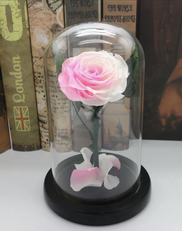 Preserved Pink Rose Flower Immortal in Glass Forever Fresh Rose Flower Eternal