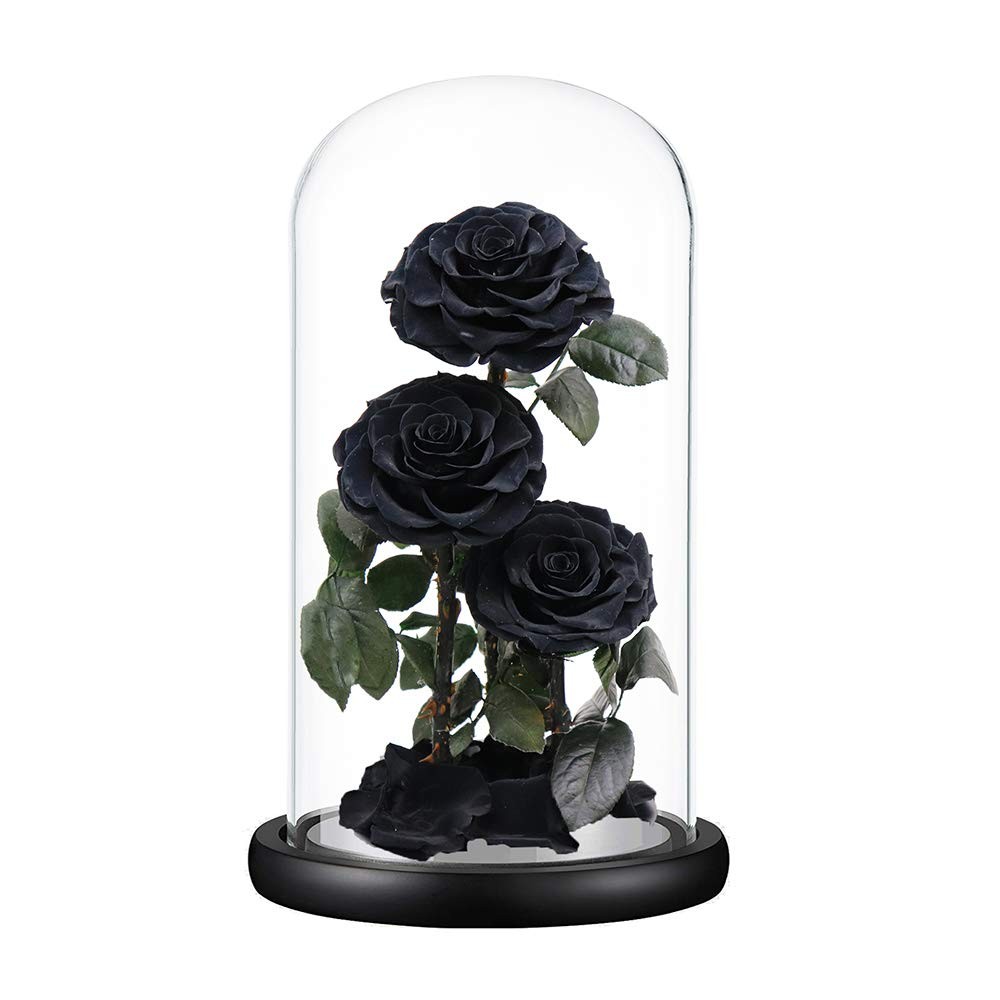 Black Preserved Roses in Glass Dome – Eternal Flowers Gift for Her, 13 Inch