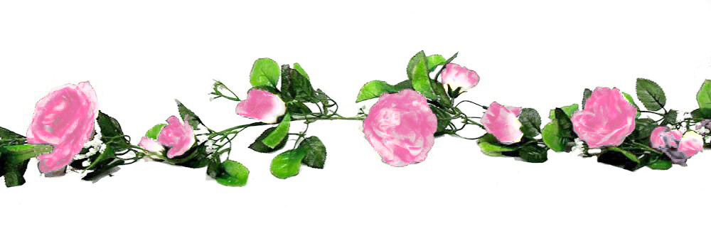 Rose Garland Set of 2 68in Cream/Pink