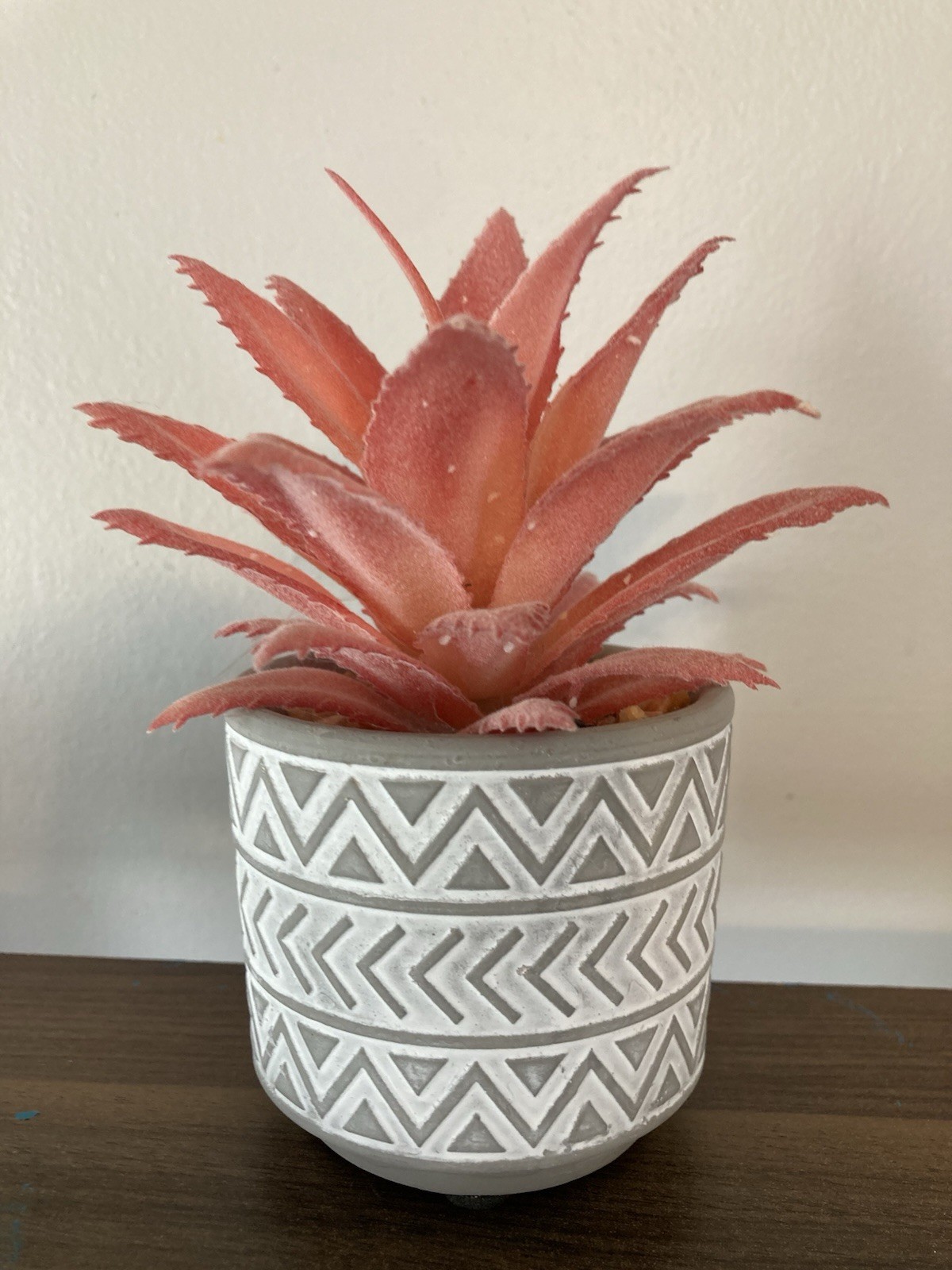 Succulent Tabletop Decor