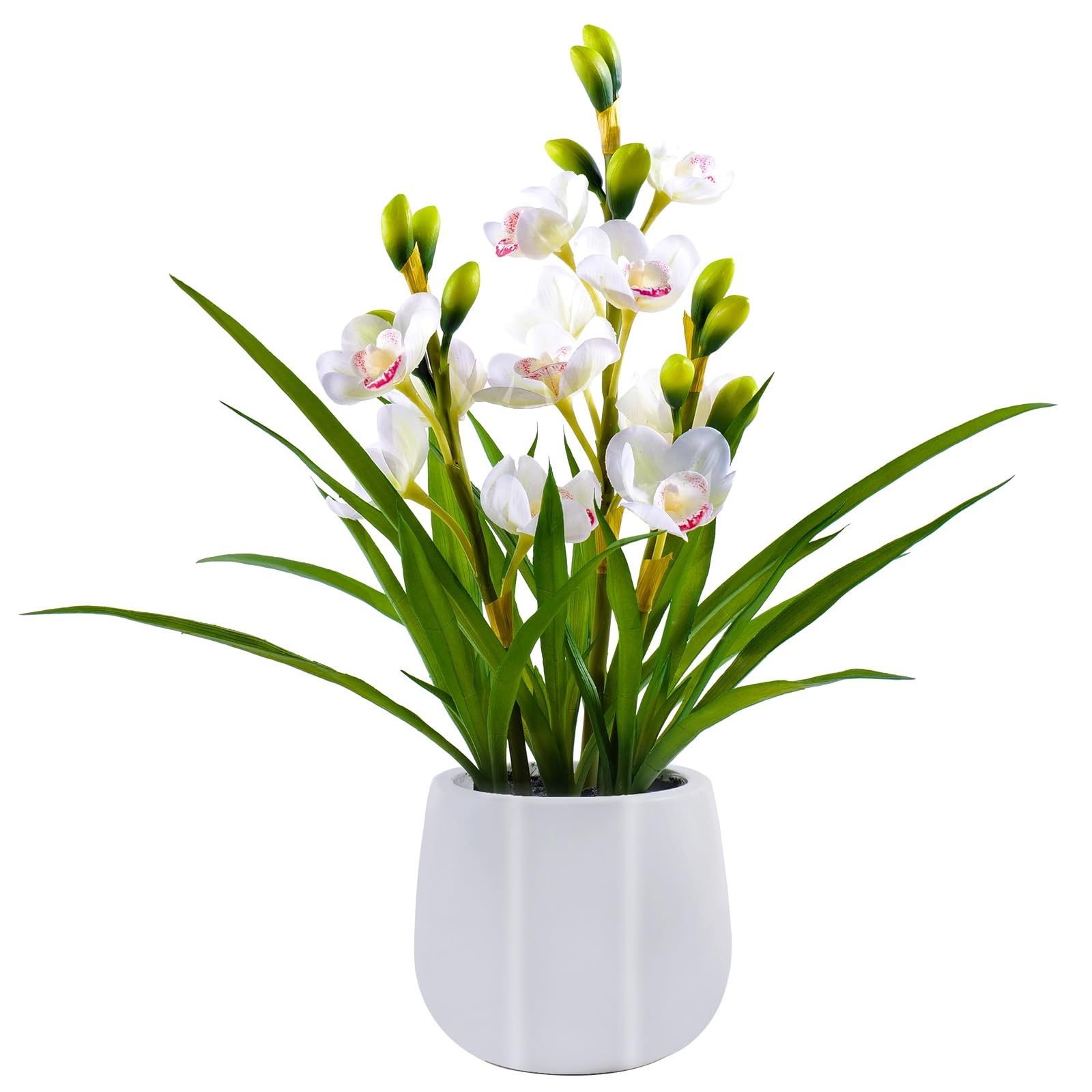 Fake Orchid Plant 19 Inch Tall Realistic Touch Leaves Potted Cymbidium White