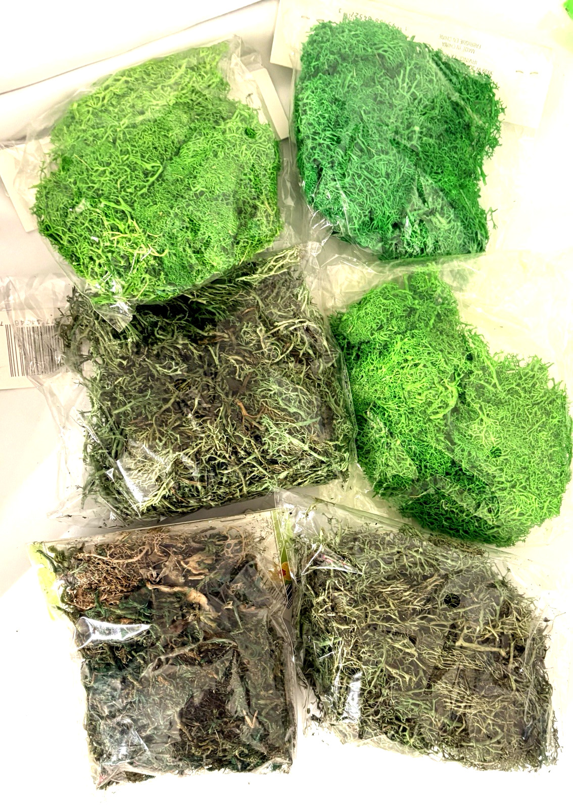 15 Bags Craft Moss Lot Reindeer Spanish Preserved Mixed Colors Floral DIY Decor