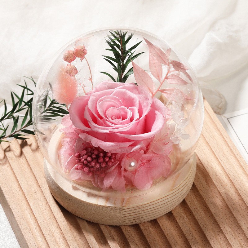 Long-Lasting Real Rose Flower, Unique Preserved Floral Gift for All Occasions