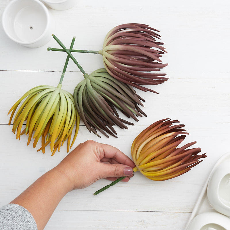 Factory Direct Craft Assorted Artificial Succulent Picks | 4 Pieces