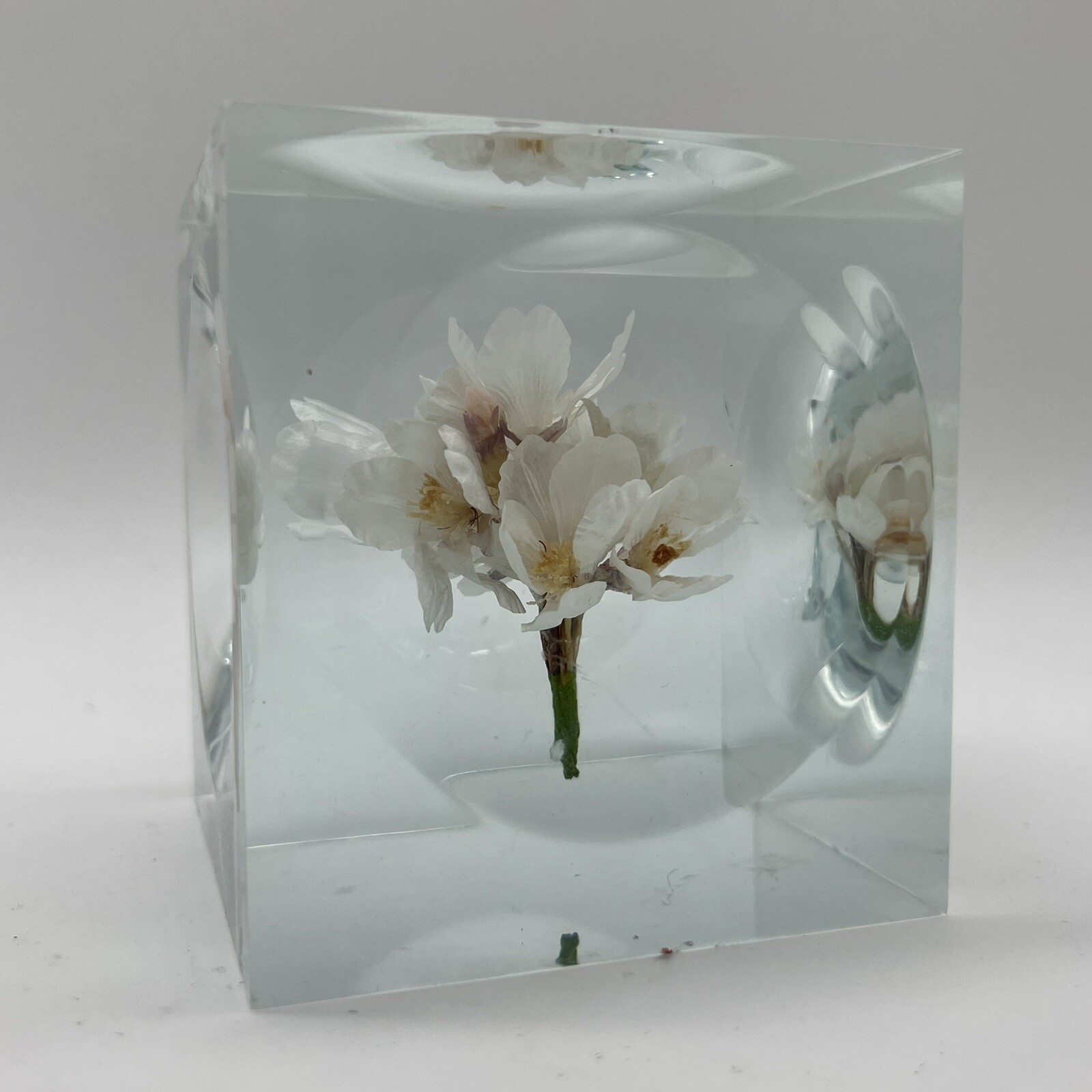 Crystal Clear Lucite Acrylic Large 3 3/4in” Sola Cube Cherry Blossom Flowers