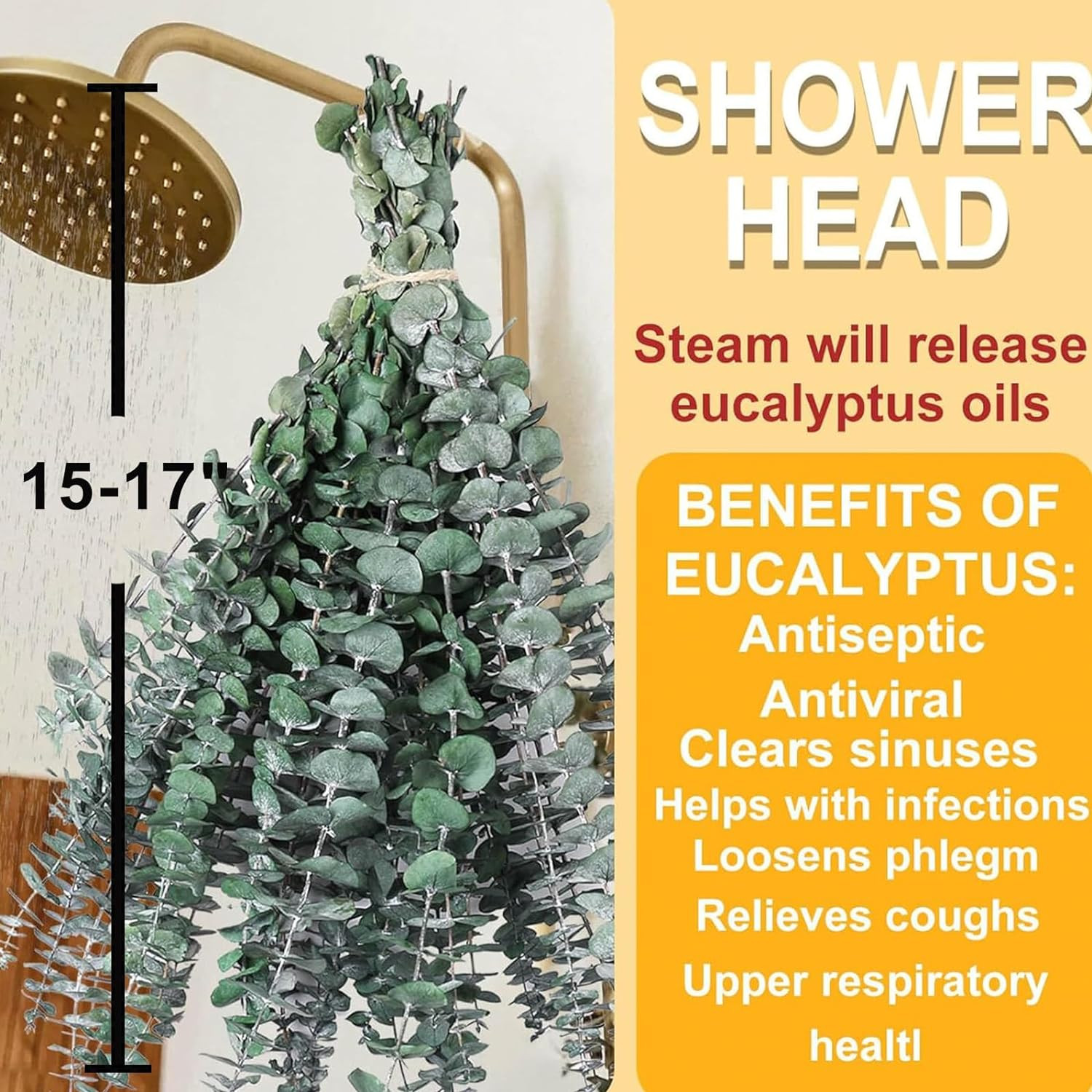 12 tallos de eucalipto secos para ducha Hojas de eucalipto preservadas de 43 cm