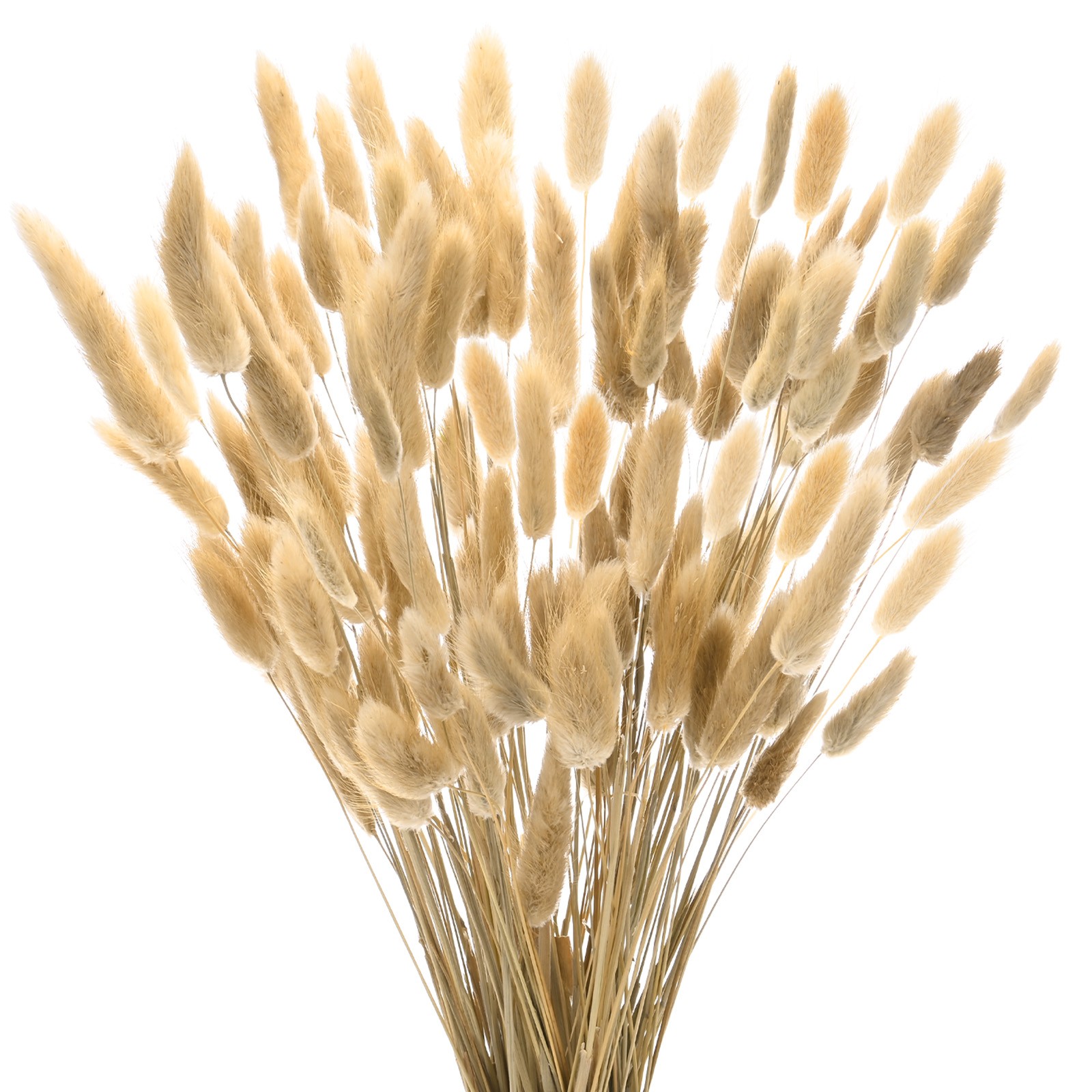 100-Pack Bunny Tails Grass 17 Inch for Home Decor/Wedding [Natural]