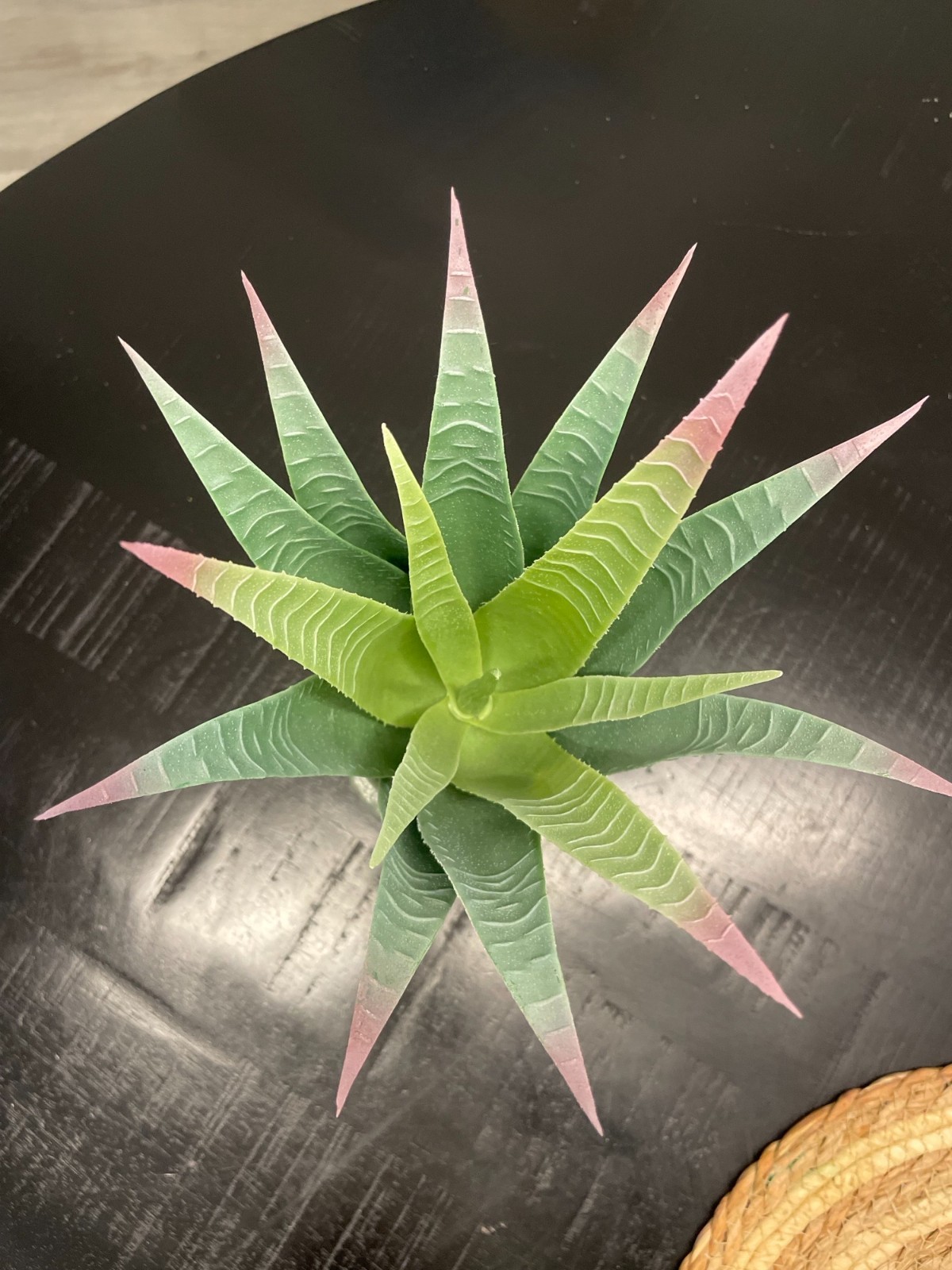 Artificial Aloe Vera Succulent Plant in Decorative Pot for Modern Home Decor