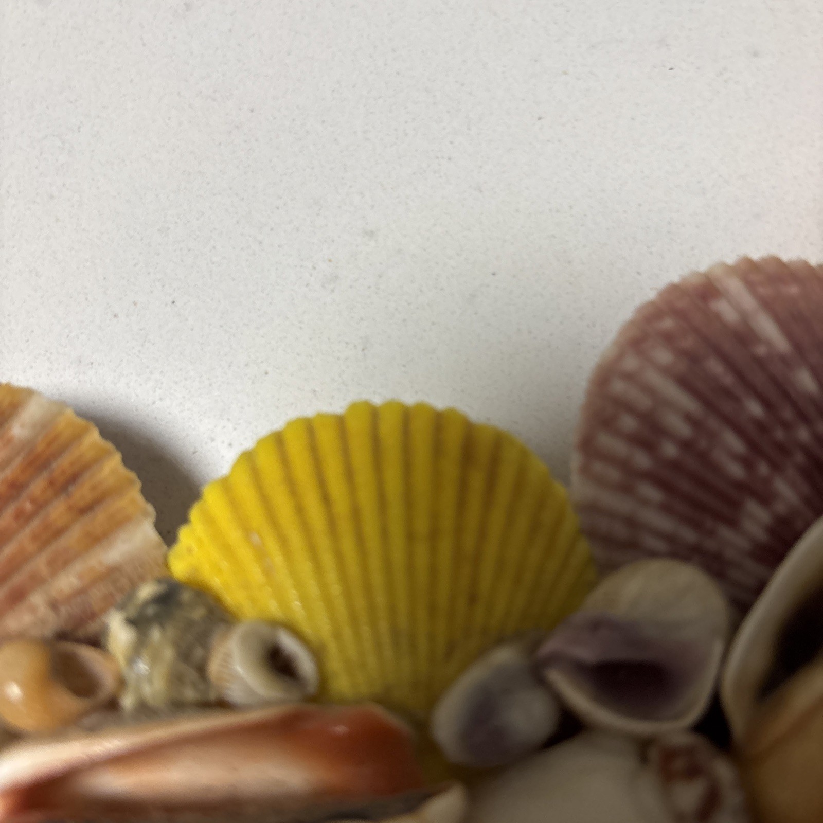 Handcrafted Sea Shell Wreath 14”Beach Seashore Coastal Decor Beautiful Vintage