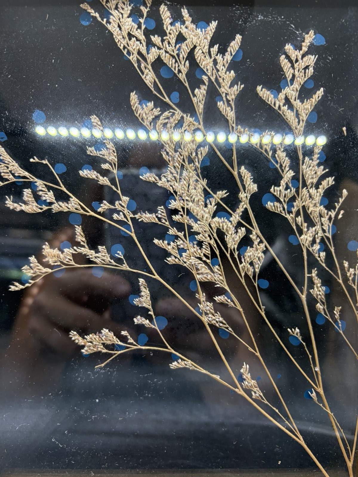 Pressed Dried Flowers in Double Glass Floating Wood Frame