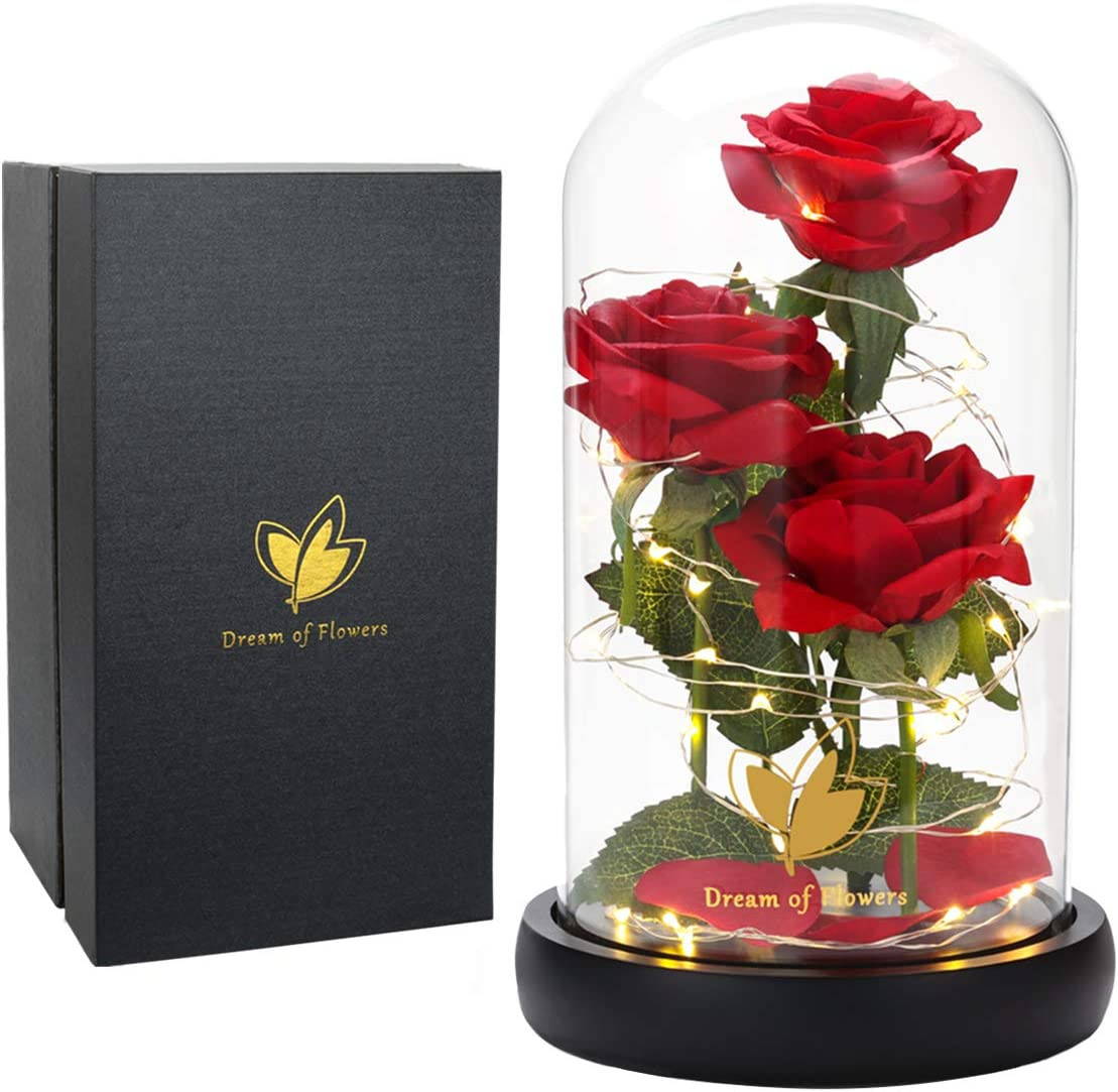Valentines Day Gifts for Her,Beauty and the Beast Rose in Glass Dome,Anniversary