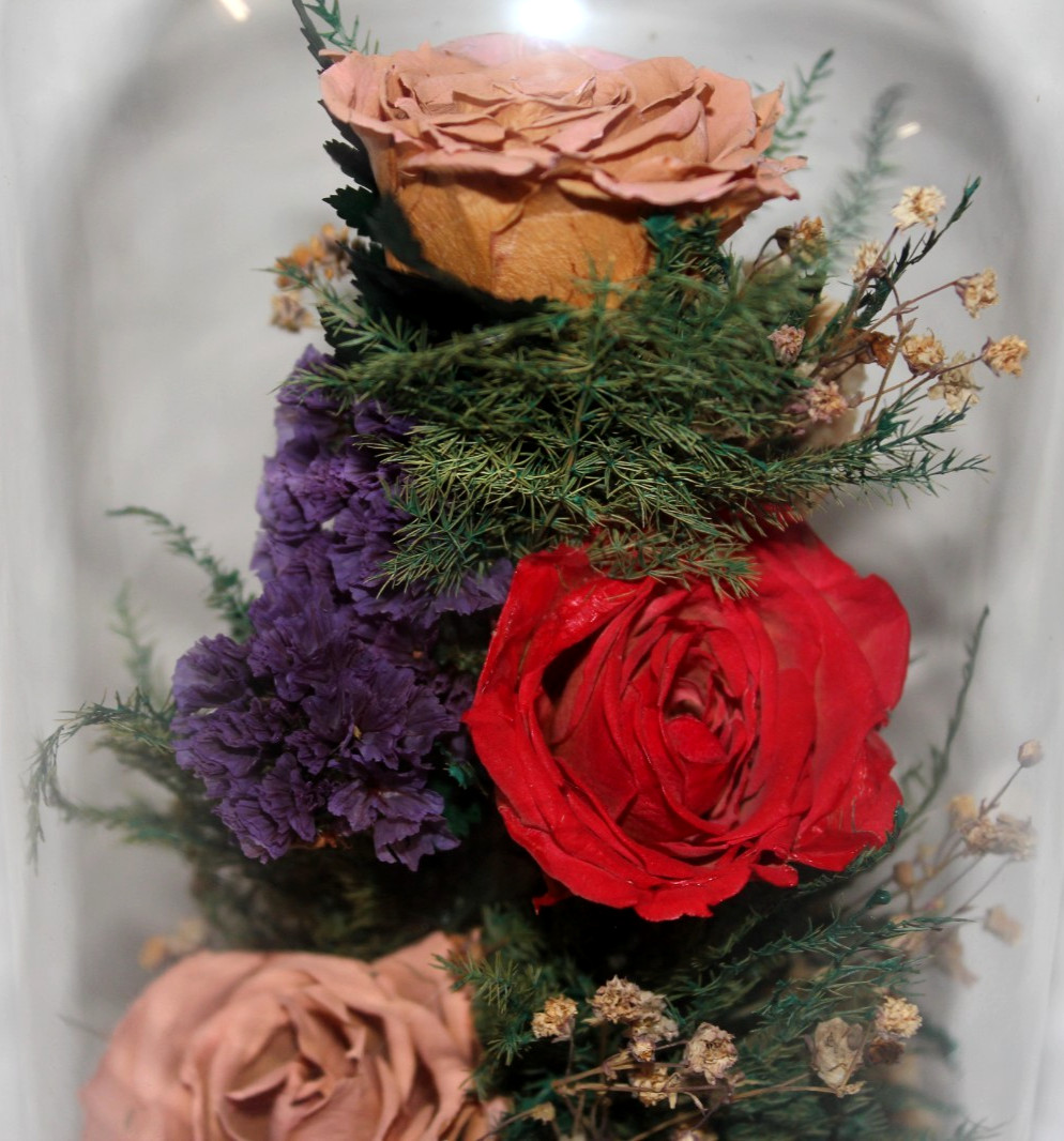 Natural Expressions – Real Freeze-Dried Rose Floral Arrangement in 8″ Glass Dome