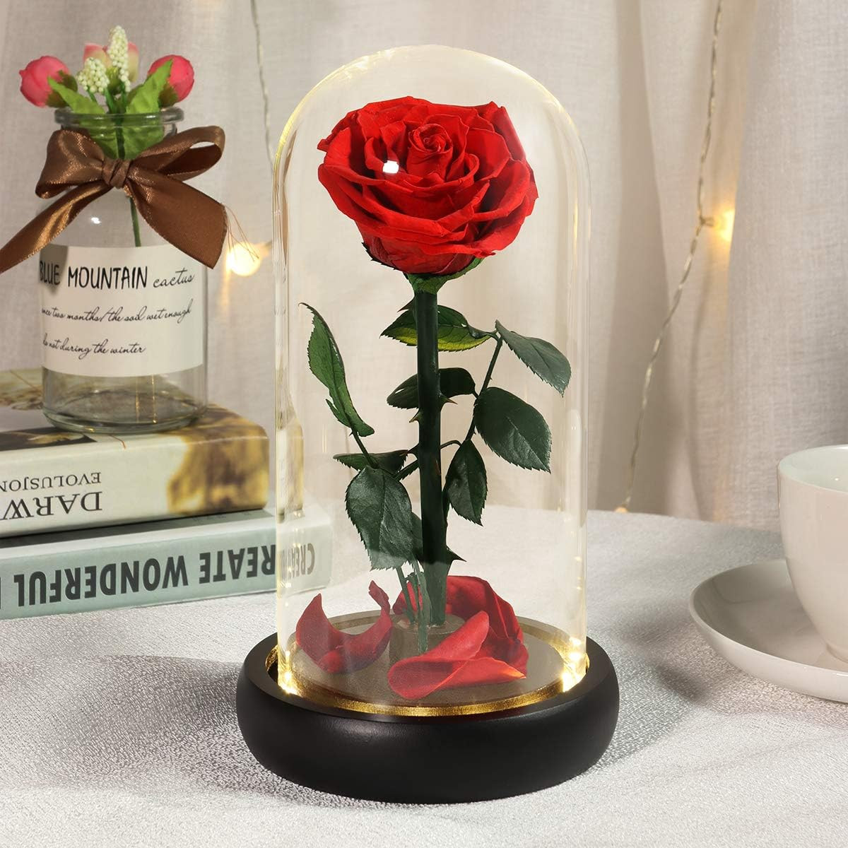 Christmas Rose Gifts for Women,Birthday Gifts,Brightly Coloured Real Eternal Ros