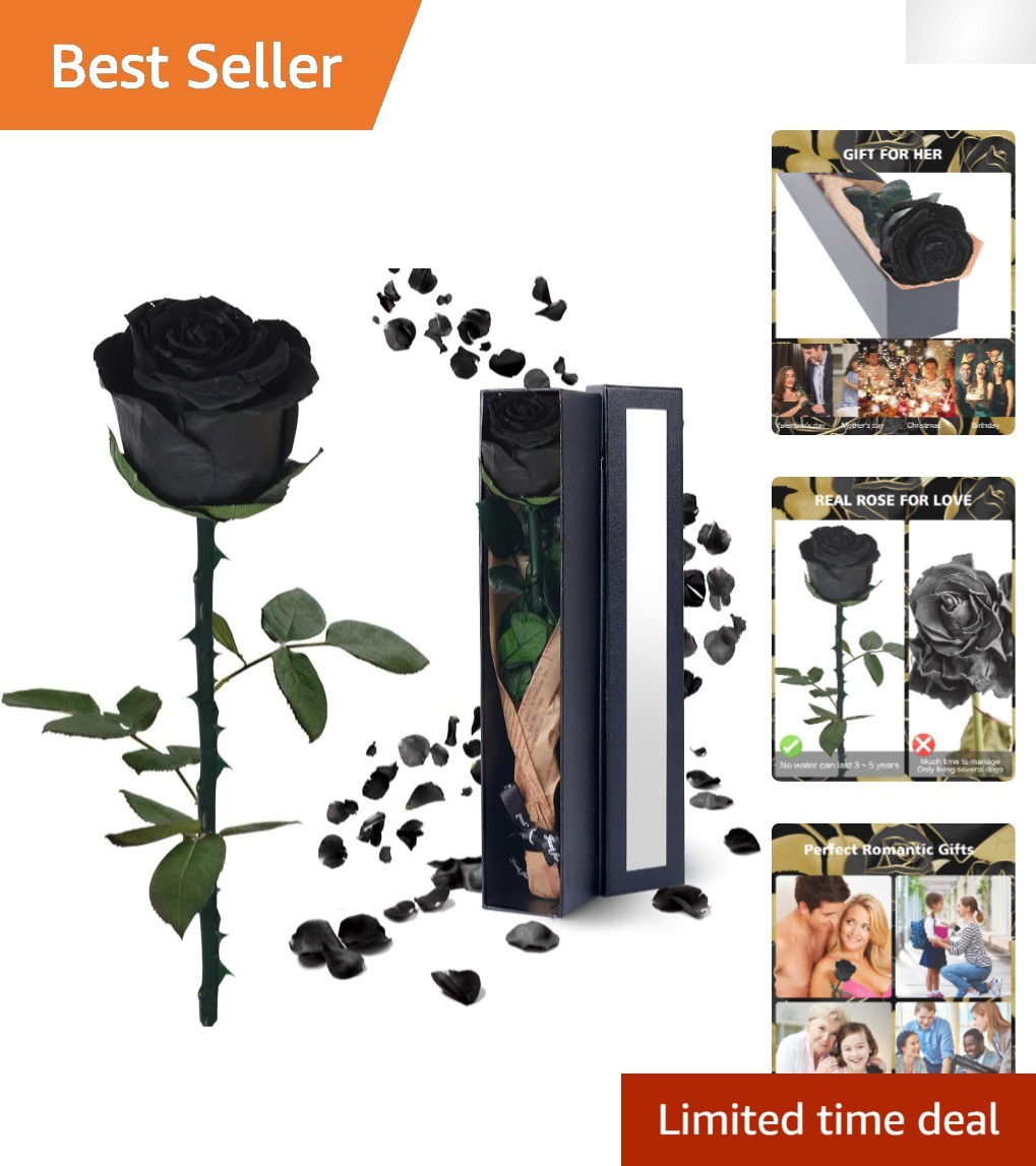 Single Black Preserved Rose – Timeless Gift for Women on Any Occasion