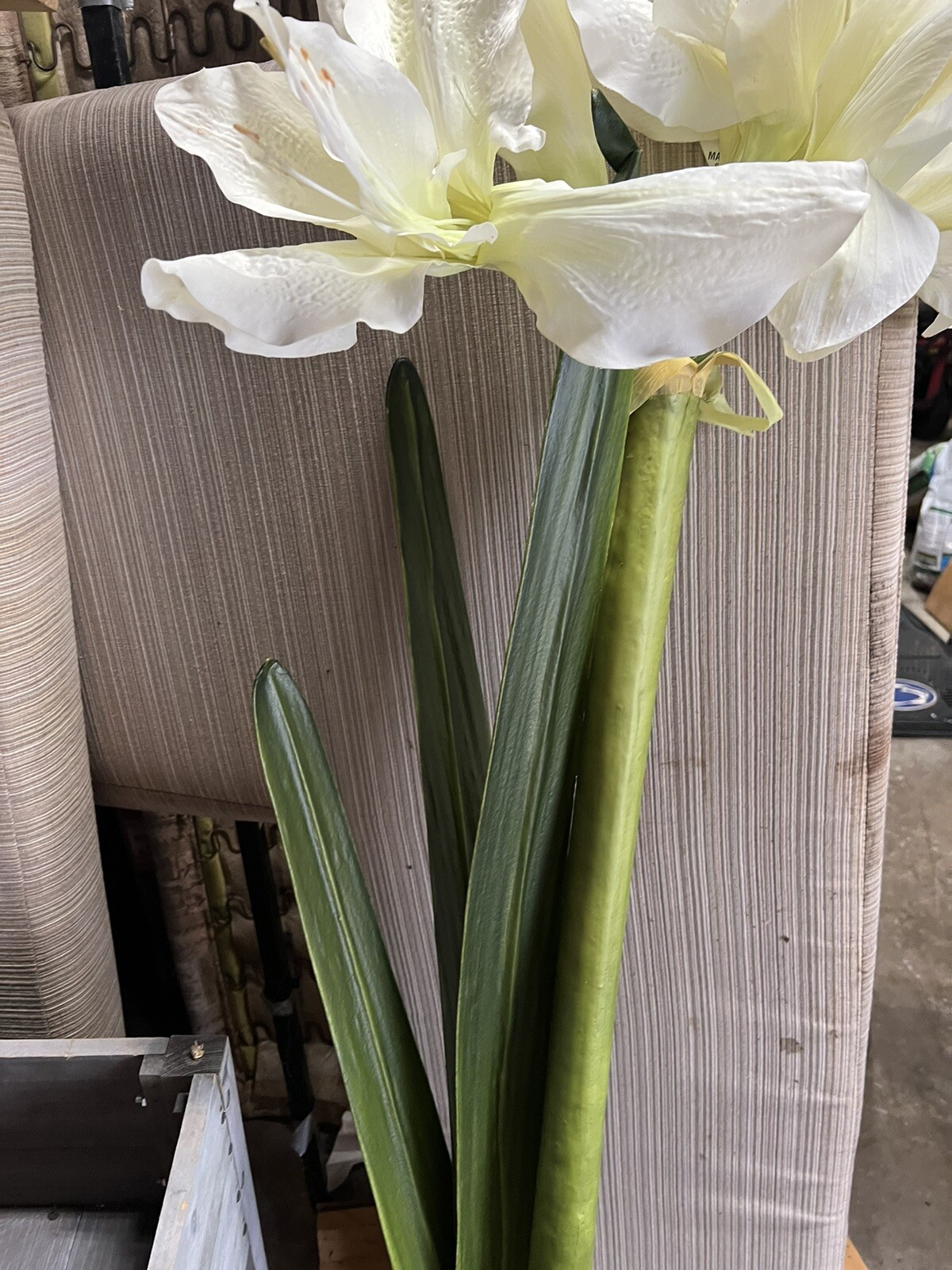 5ft Tall Silk White Iris, Amaryllis??Silk Flower Stem In Bulb. Free Standing