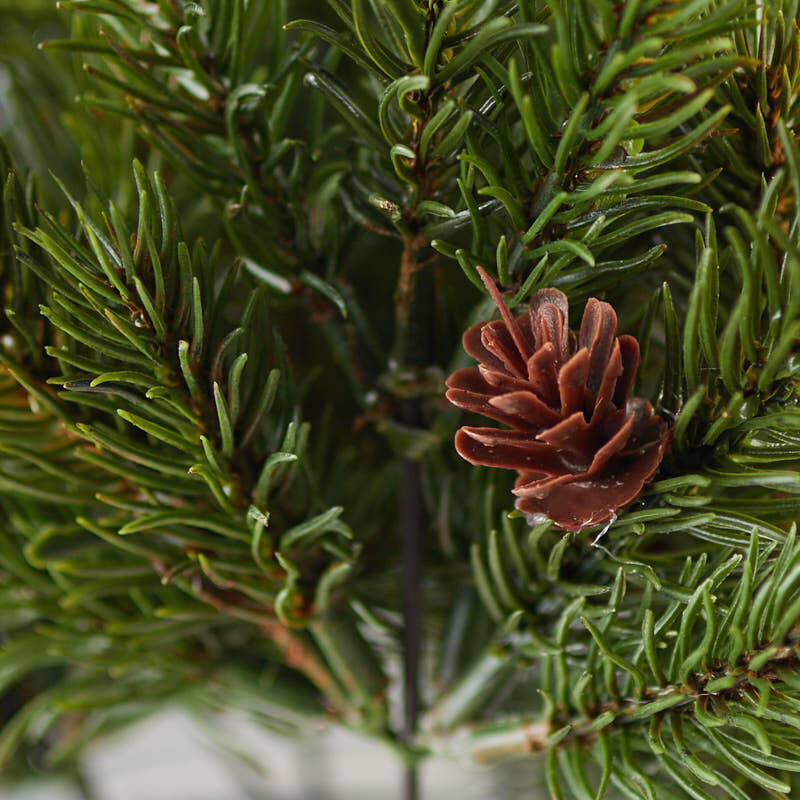 Bulk Lot of 12 Artificial Weatherproof Pine 9″ Floral Picks