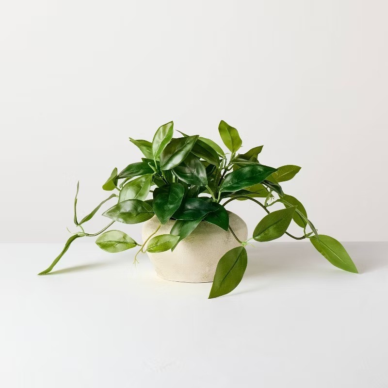 8.5" Small Trailing Hoya Leaf Potted Artificial Plant – Hearth &