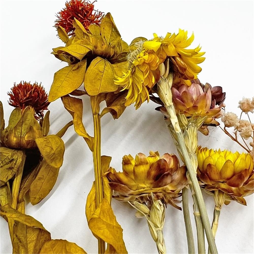 Pemberly Row 10-inch High Real Preserved Mixed Bouquets in Small Size