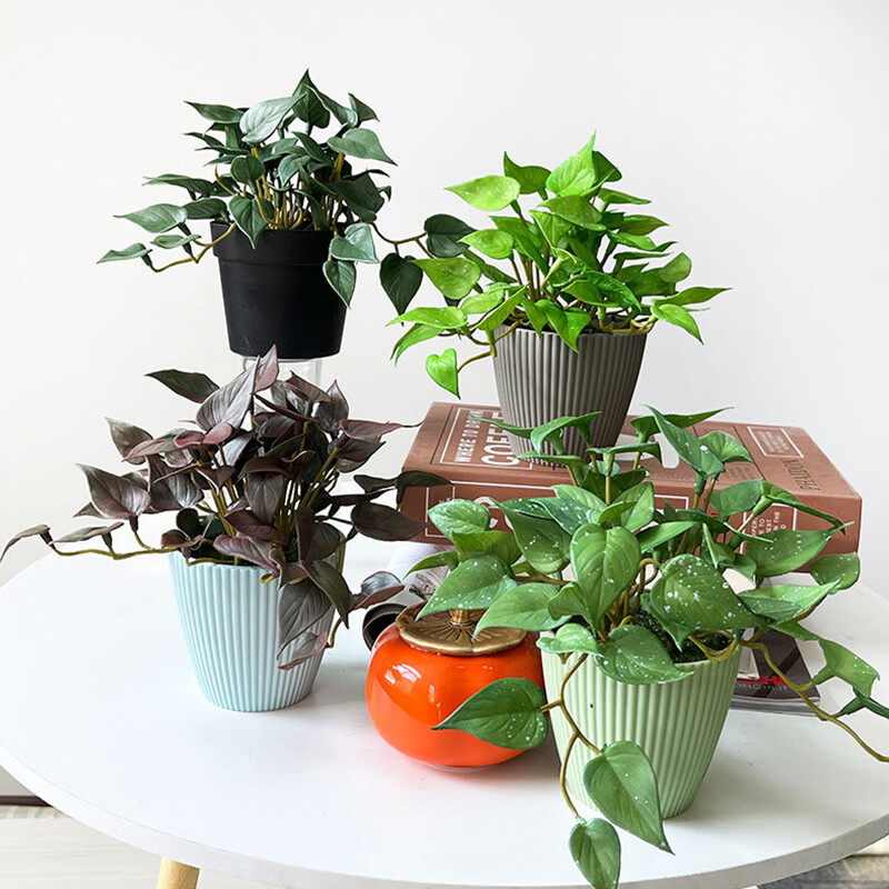 1PC Artificial Plant Mini Bouquet Copper Coin Grass Soft Glue Fake Green Plants