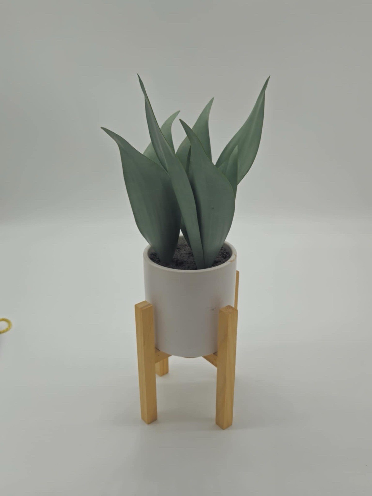 Target Threshold Snake Plant Potted Artificial White Ceramic Pot Decor