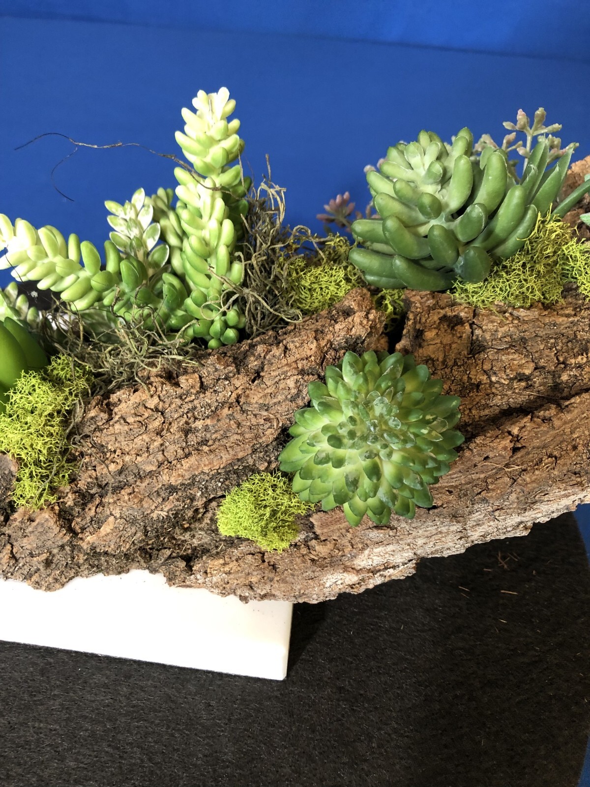 Artificial Succulent Air Plant Home Office Mounted on Real Wood Bark and Stone