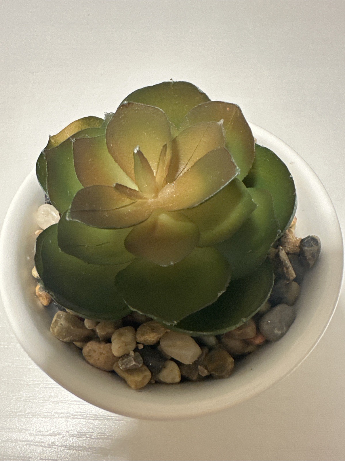 Artificial Succulent Plant in White Ceramic Pot – Small Desk Decor – Used