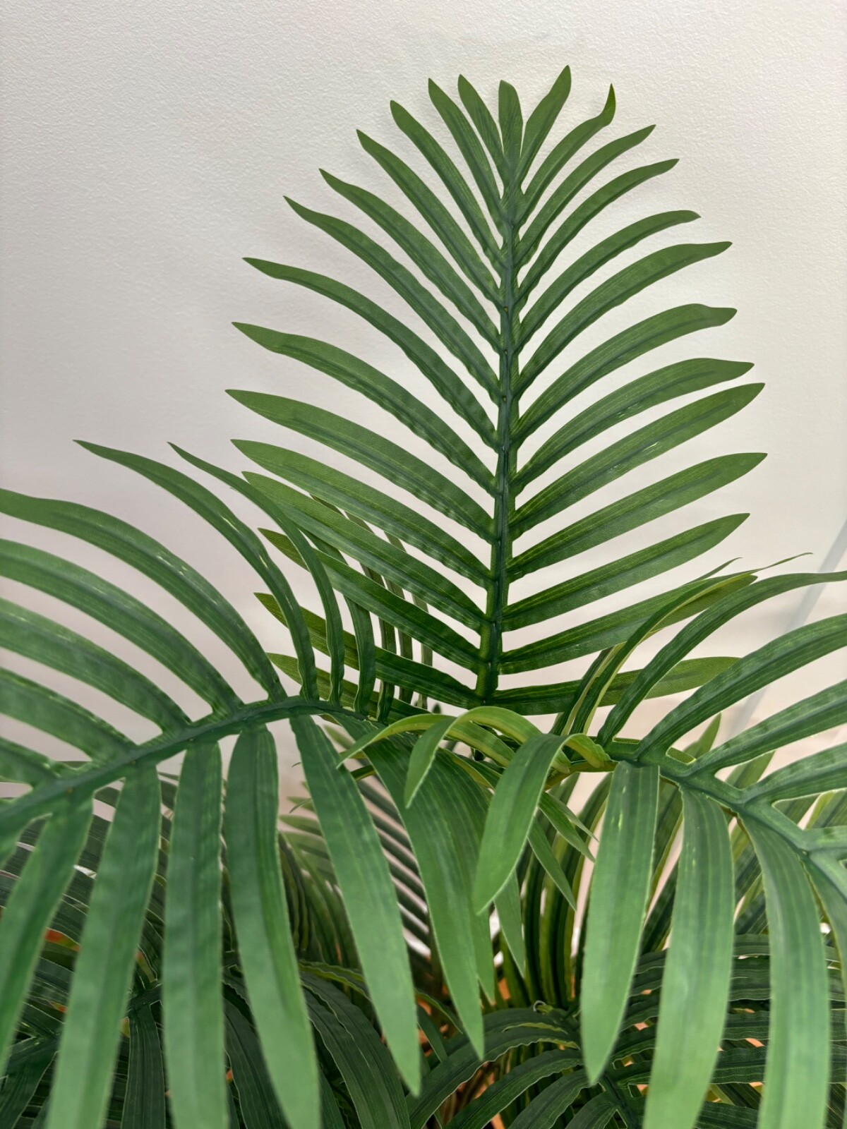 Wildwood & Cypress 52” Realistic Palm Tree Plant Variegated Foliage Indoor Faux