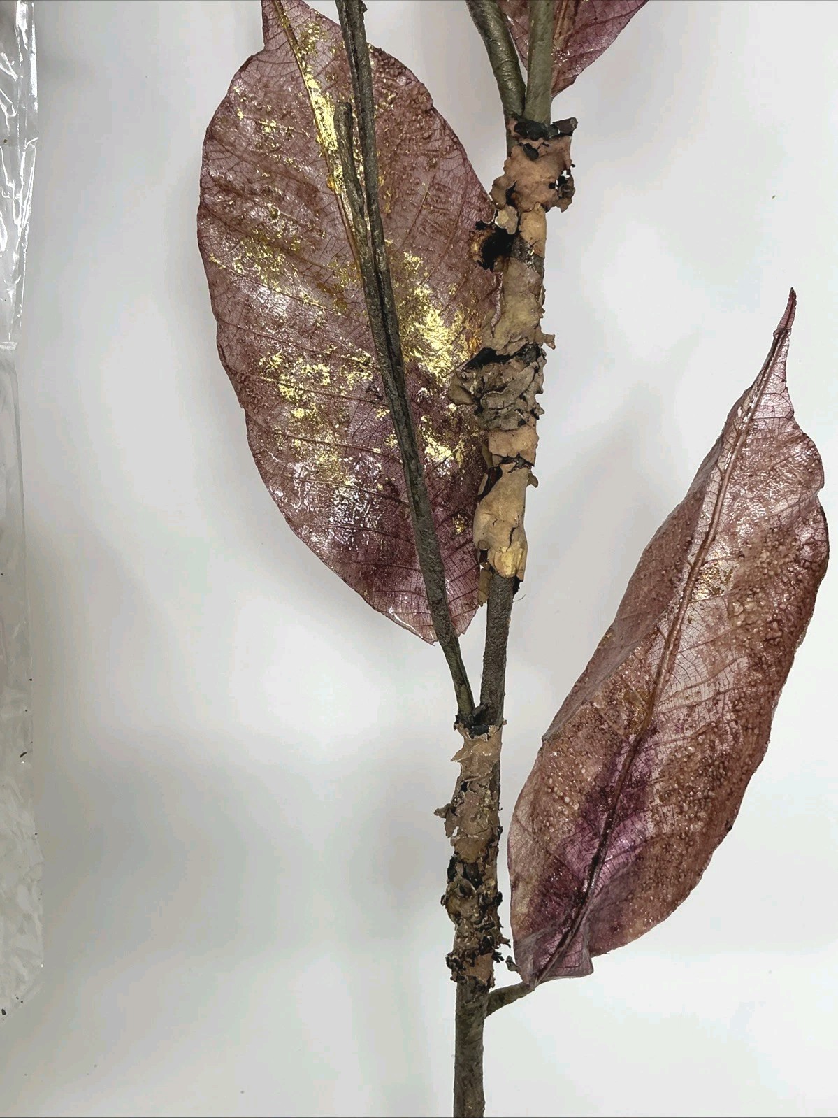 Magnolia Leaf Spray 26” Long Purple w Gold 2 Picks Christmas Decor Artificial