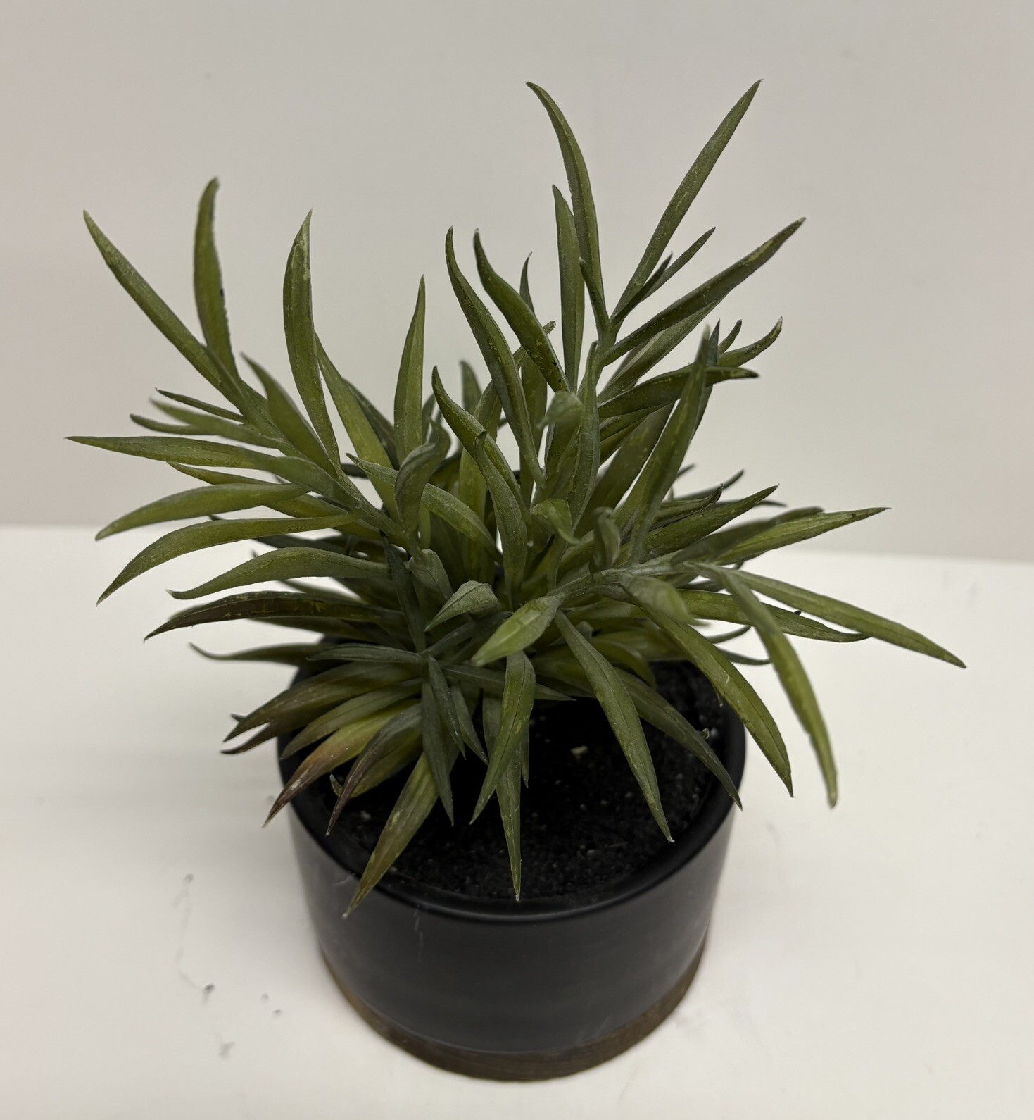 Threshold Potted Faux Succulent Plant Indoor Plant Porch Decor