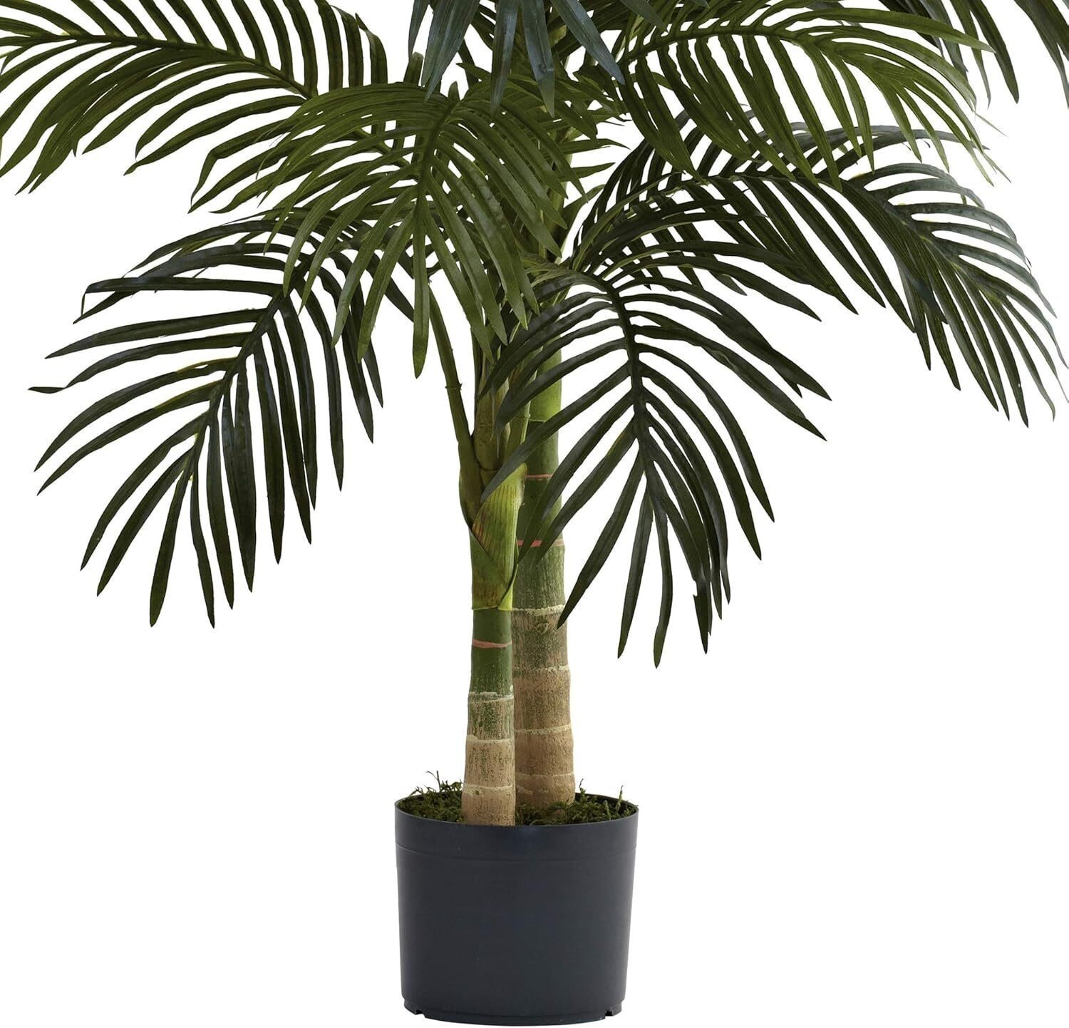 4ft. Golden Cane Palm Tree Year-round Greenery Versatile Decoraton Office Home