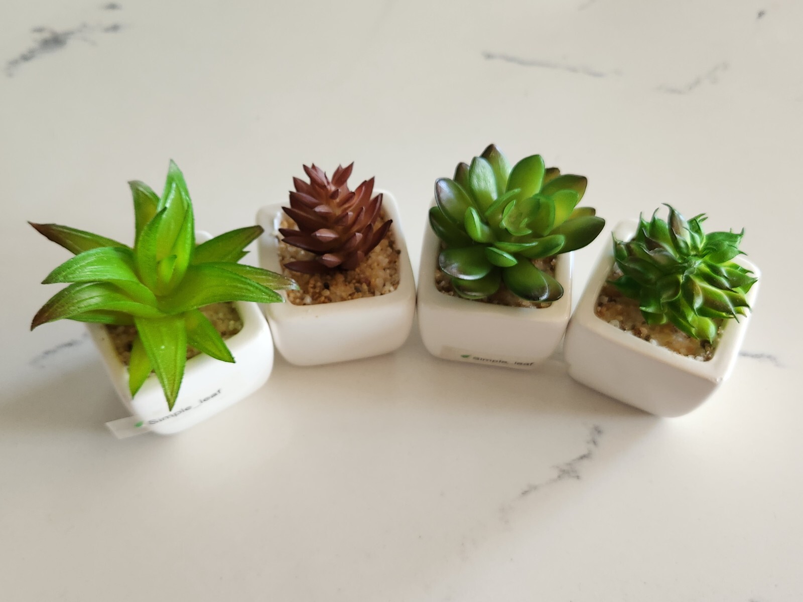 Party Favor Artificial Succulent Set in White Ceramic Pot Mini Plant Home Decor