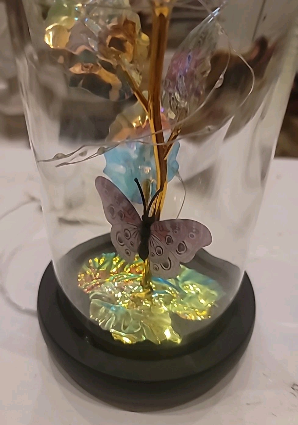 Modern Expressions Light-Up Dome Rose Butterfly Flower LED Walgreens 2024 NWT