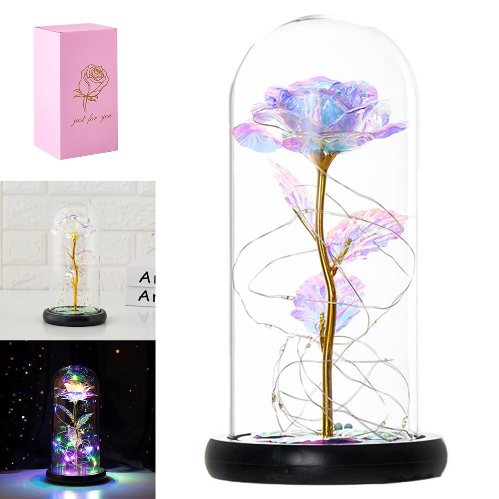 Preserved Forever Valentines Day Flower Gifts for Her Glass Light Up Rose Gifts
