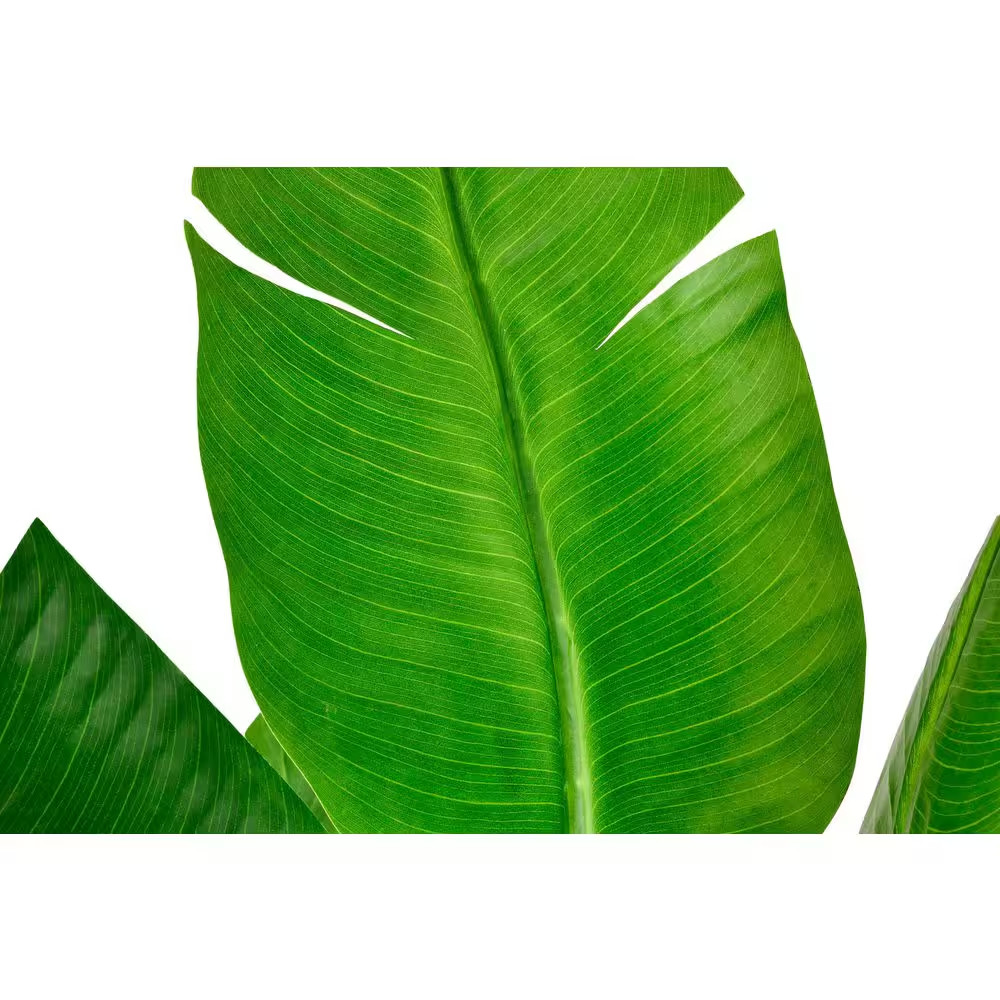 5 Ft. Artificial Banana Leaf Tree Bird of Paradise in White Decor Pot, Faux Gree