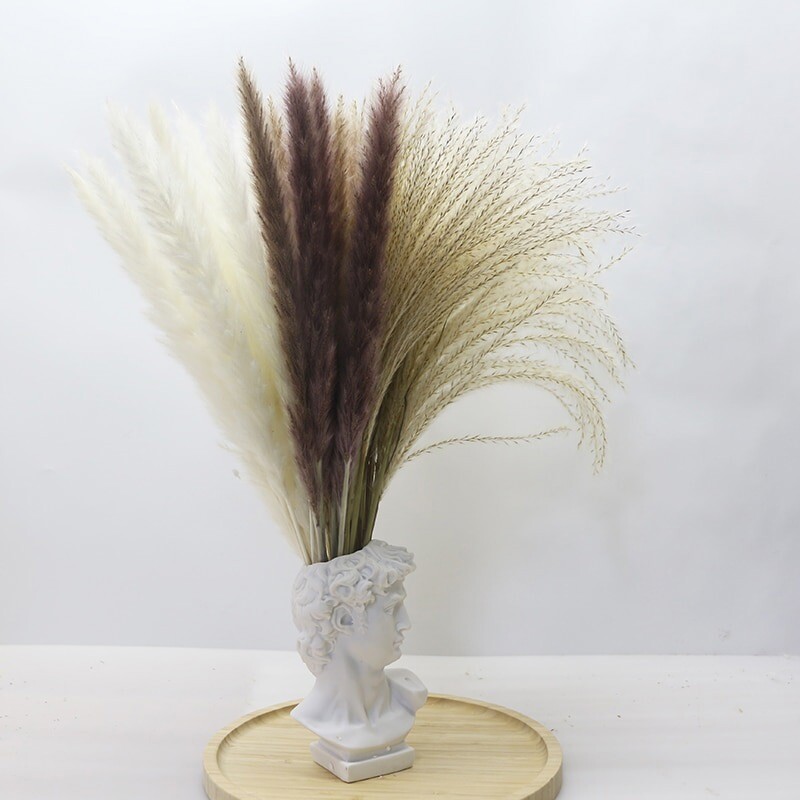 60PCS Natural Dried Pampas Grass Reed Flower Bunch DIY Flower Home Decor Supply