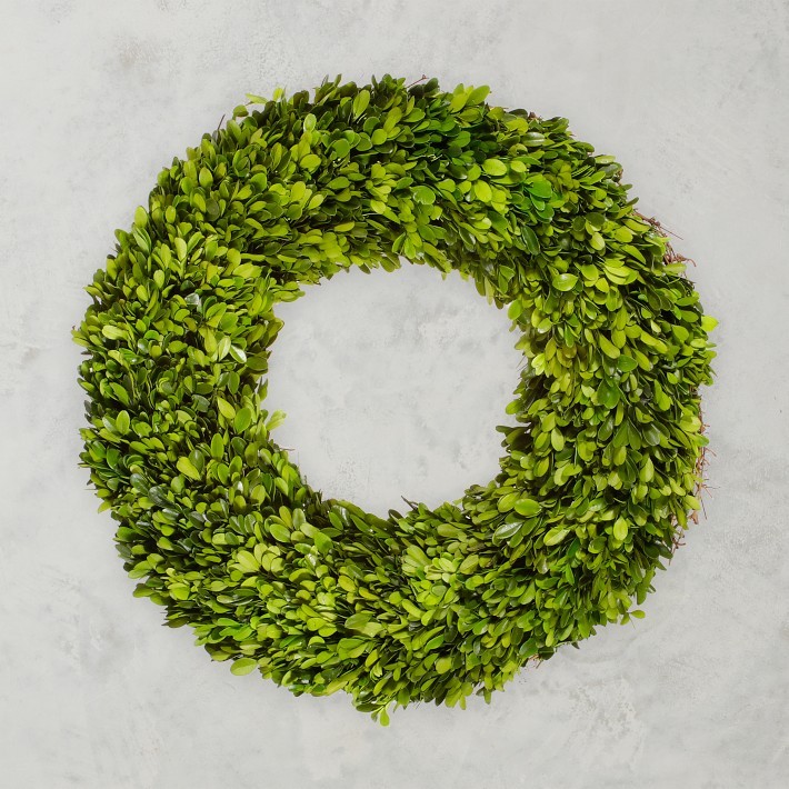 Boxwood Live Wreath, 20″-Williams Sonoma|34114