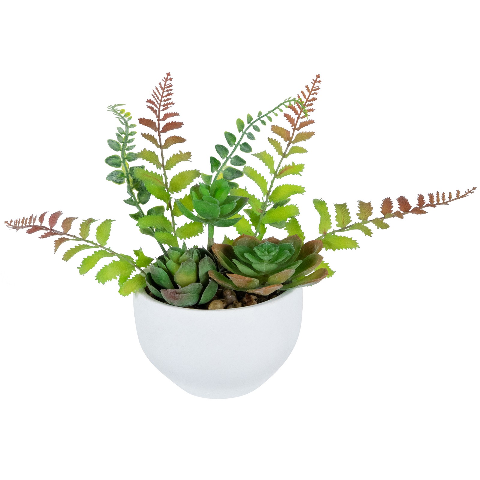 11.5″ Artificial Mixed Red and Green Succulent and Fern Plants in a White Crackl